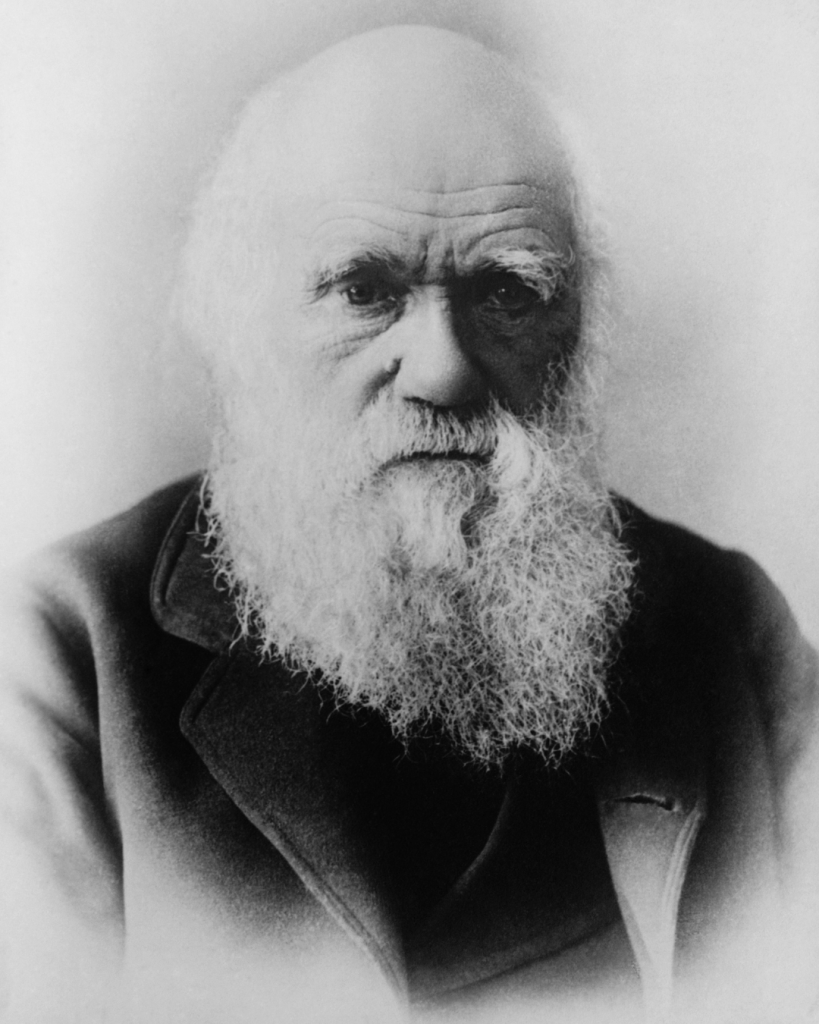Darwin y la teoría de la Evolución 